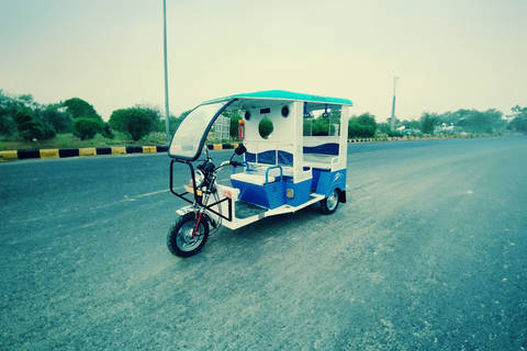 Divya Enterprises Deluxe 4 Seater/Electric