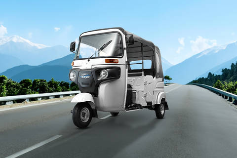 Lords Vayu 4 Seater/Electric