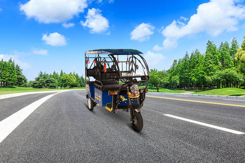 Mini Metro Blue E Rickshaw 4-Seater/Electric