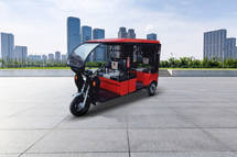 SN Solar Energy Standard E-Rickshaw