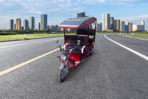 SN Solar Energy Passenger Solar E-Rickshaw