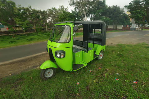 Sniper Electric L3 Passenger 4 Seater/Electric