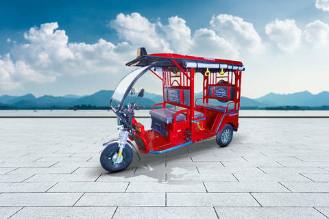 Thukral Electric ER 1 Paint 4-Seater/Electric